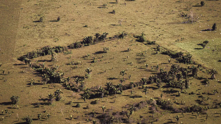 Geoglifos da Amazônia podem ser vistos em exposição em Manaus