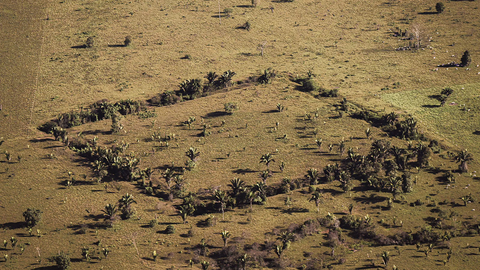 Geoglifos da Amazônia podem ser vistos em exposição em Manaus
