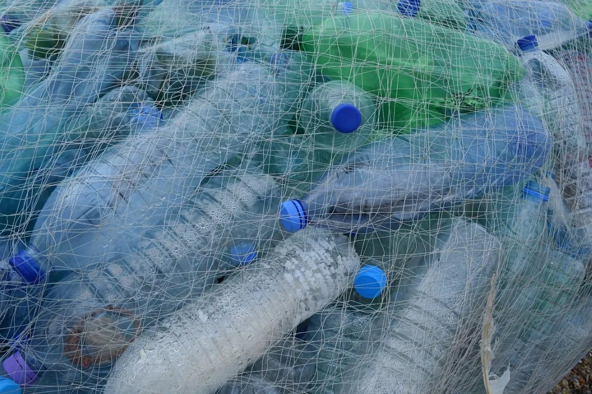 Governo publica decreto que obriga uso de plástico reciclado em novas embalagens