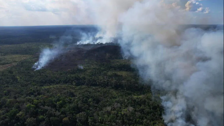 O desmonte ambiental e a resistência em Rondônia