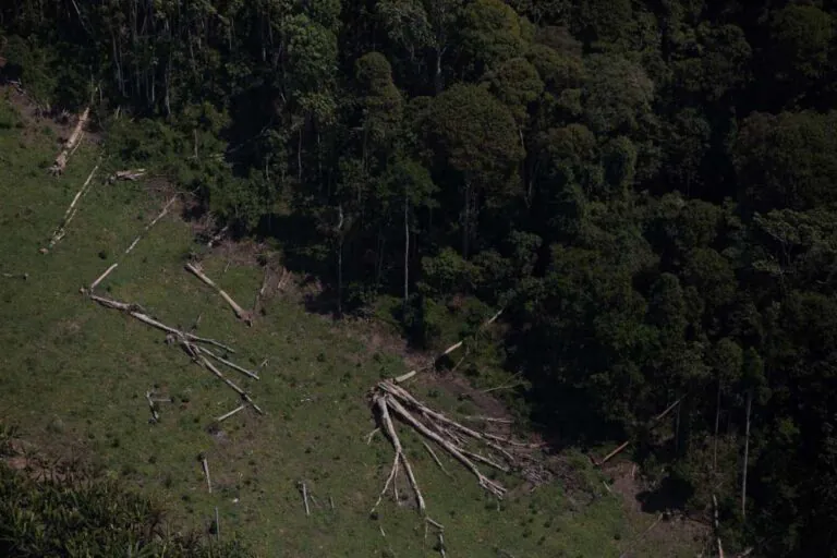 O futuro da Amazônia se decide agora