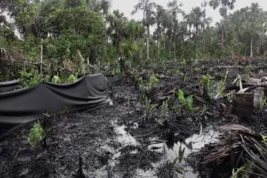 Parlamentares de sete países querem barrar novas explorações de petróleo na Amazônia