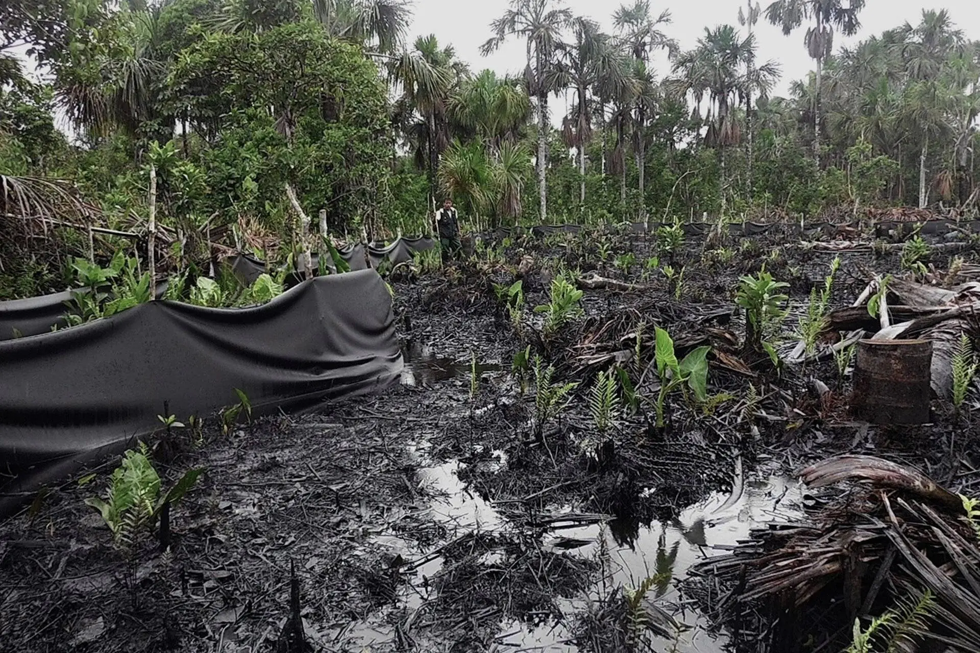 Parlamentares de sete países querem barrar novas explorações de petróleo na Amazônia