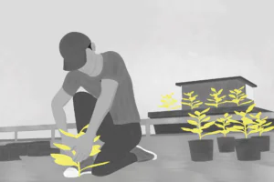 Portel: De campeão de extração a líder em redução de desmatamento