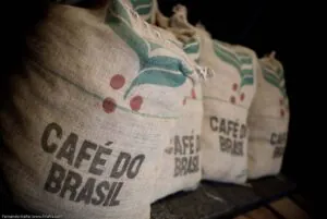 Símbolo do Brasil há 200 anos, café busca superar danos ambientais