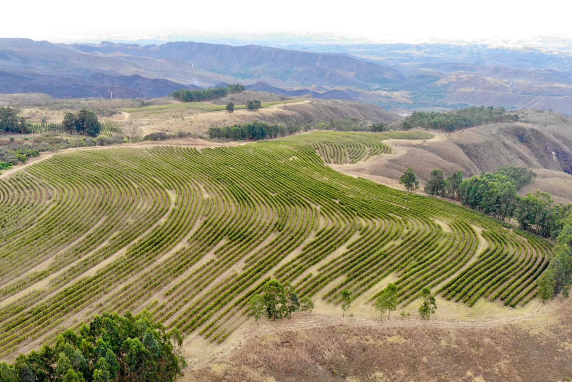 Suspensão do georreferenciamento de imóveis rurais ‘abre porta’ para a grilagem, alertam especialistas