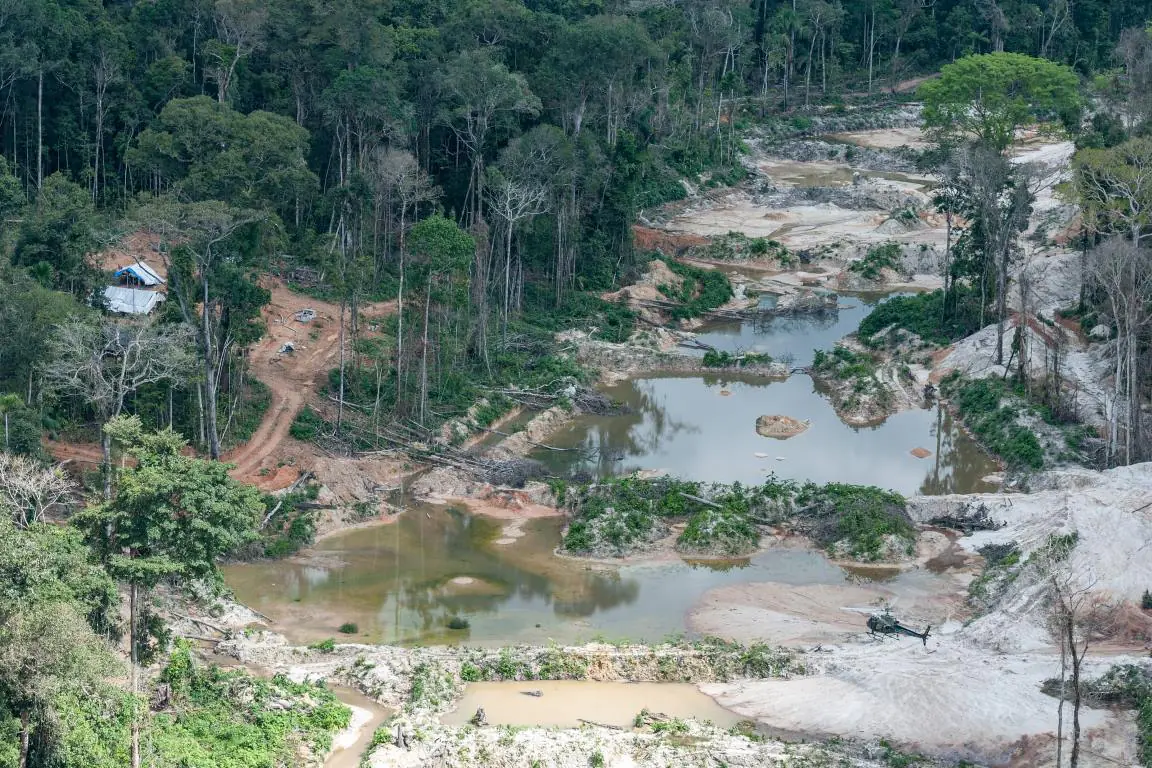 Terra Indígena Munduruku volta a ser ameaçada pelo desmatamento