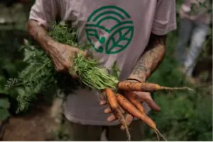 There’s a Good Reason to Pay Attention to Trancoso’s Organic Festival