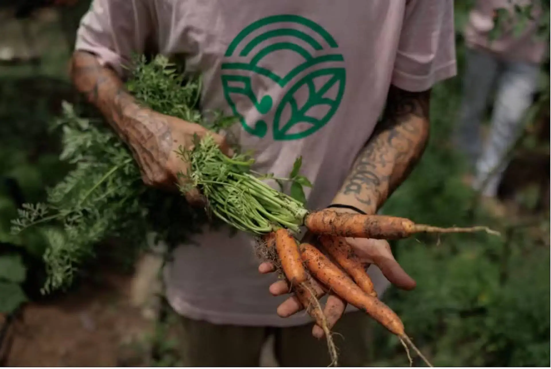 There’s a Good Reason to Pay Attention to Trancoso’s Organic Festival