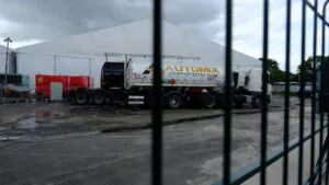 A COP no divã - Amazônia Real