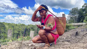 A voz de Surucucu - Amazônia Real