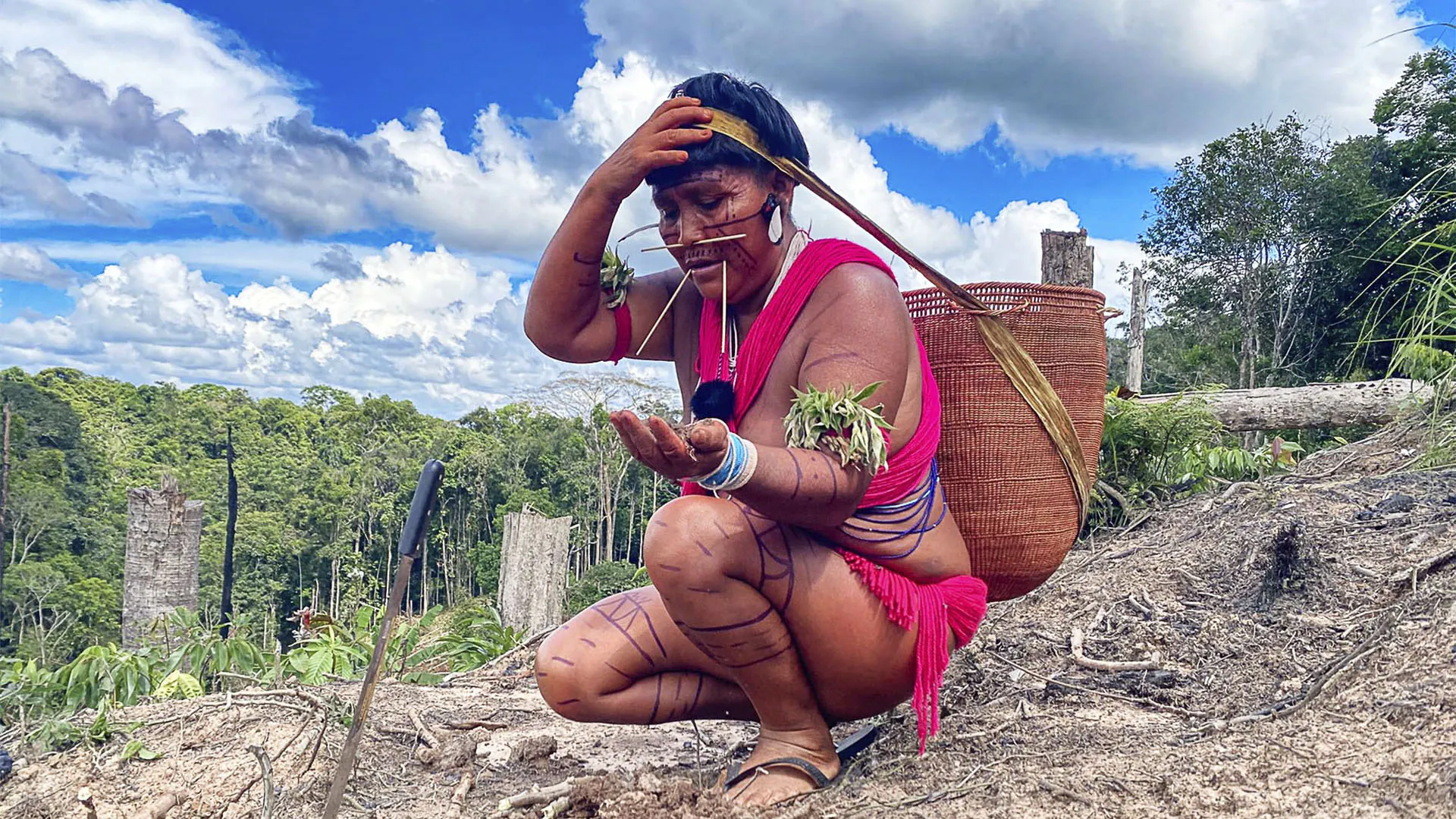 A voz de Surucucu – Amazônia Real