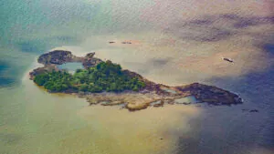 BR-319: a lição sombria da aprovação do petróleo na foz do Amazonas