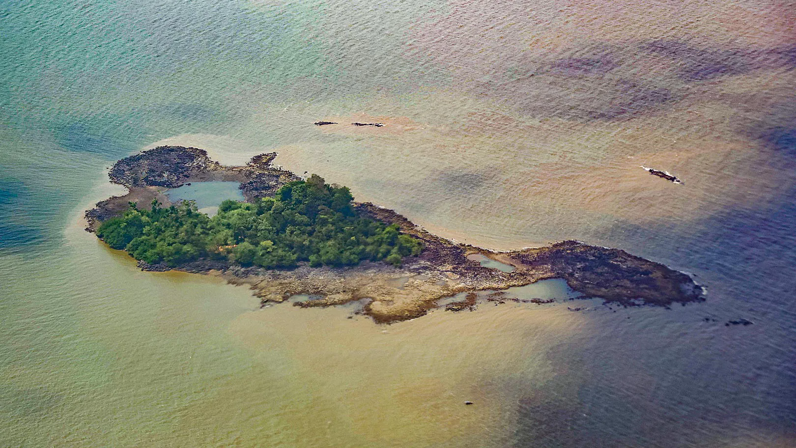 BR-319: a lição sombria da aprovação do petróleo na foz do Amazonas