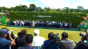 COP da Floresta: além dos slogans contra o fim do mundo