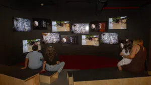 Cultura por toda COP - Amazônia Real