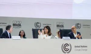 Década de implementação prevê acelerar financiamento indígena