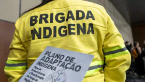 Direitos indígenas são primeiro passo para solução climática