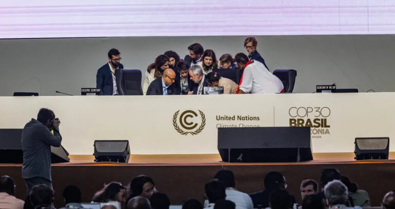 Em Clima de Gororoba - Amazônia Real