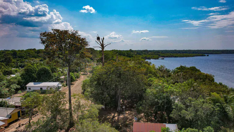 Justiça suspende projetos de crédito de carbono do governo do Amazonas