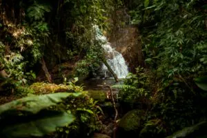 _MG_5430