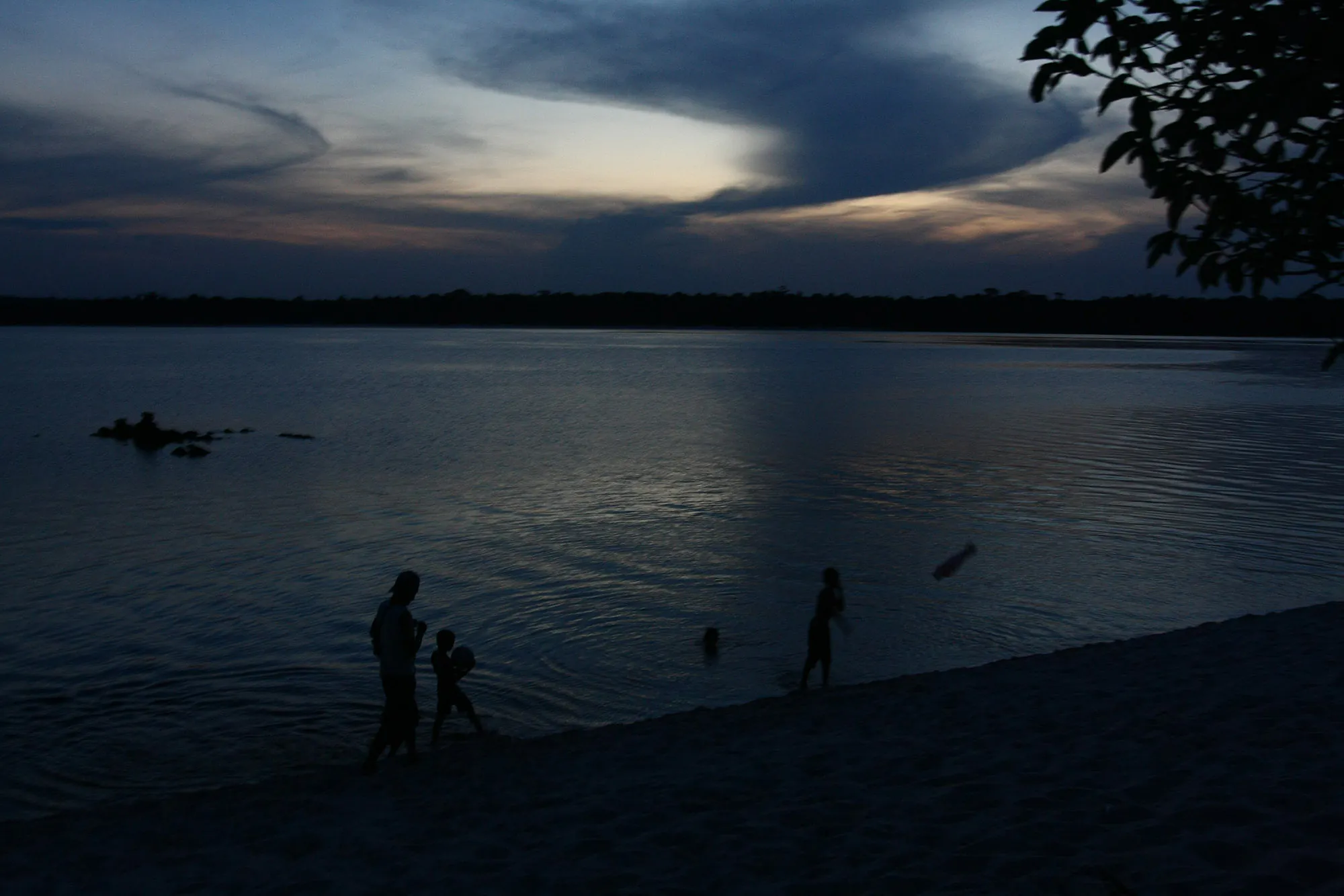 Questão florestal na Amazônia: entre cadeias de crimes e possibilidades de base comunitária 