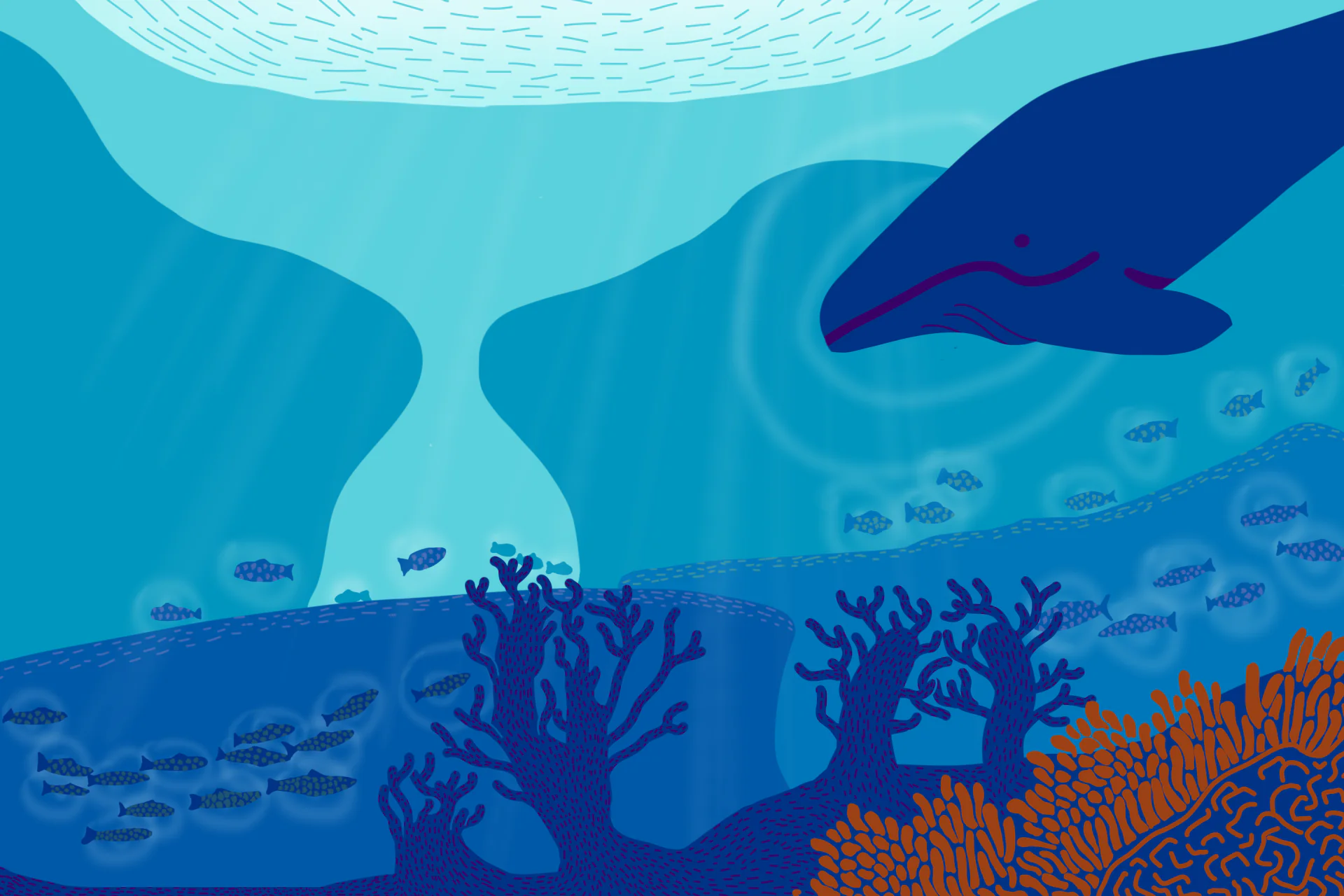 Sons do Mar: como arte e ciência podem se unir para a conservação do Oceano