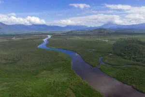 A prosperidade regenerativa da Mata Atlântica