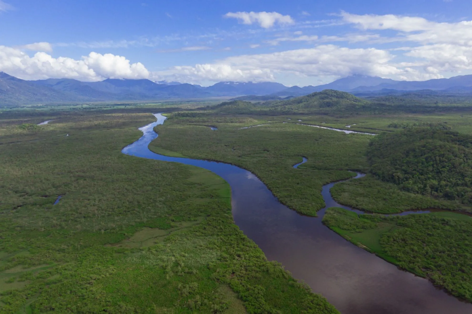 A prosperidade regenerativa da Mata Atlântica