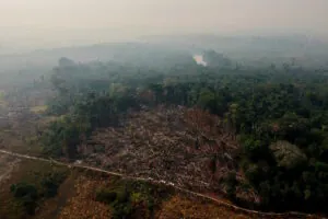 Congresso corrompeu as bases da gestão ambiental brasileira