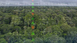 Crédito de carbono para florestas: - 1. Introdução à série