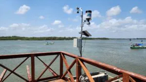 Resex do Marajó alia tecnologia à conservação para proteger biodiversidade