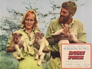 A reabilitação de Elsa - ((o))eco