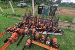 Guerra Irregular Ambiental: o crime evoluiu e o Estado parou no tempo