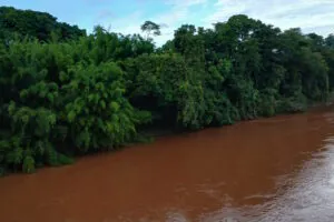 “Quem para a lama da morte?”