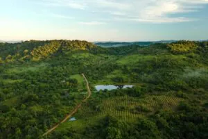 Restauração de paisagens: estratégia inadiável para o desenvolvimento sustentável nacional