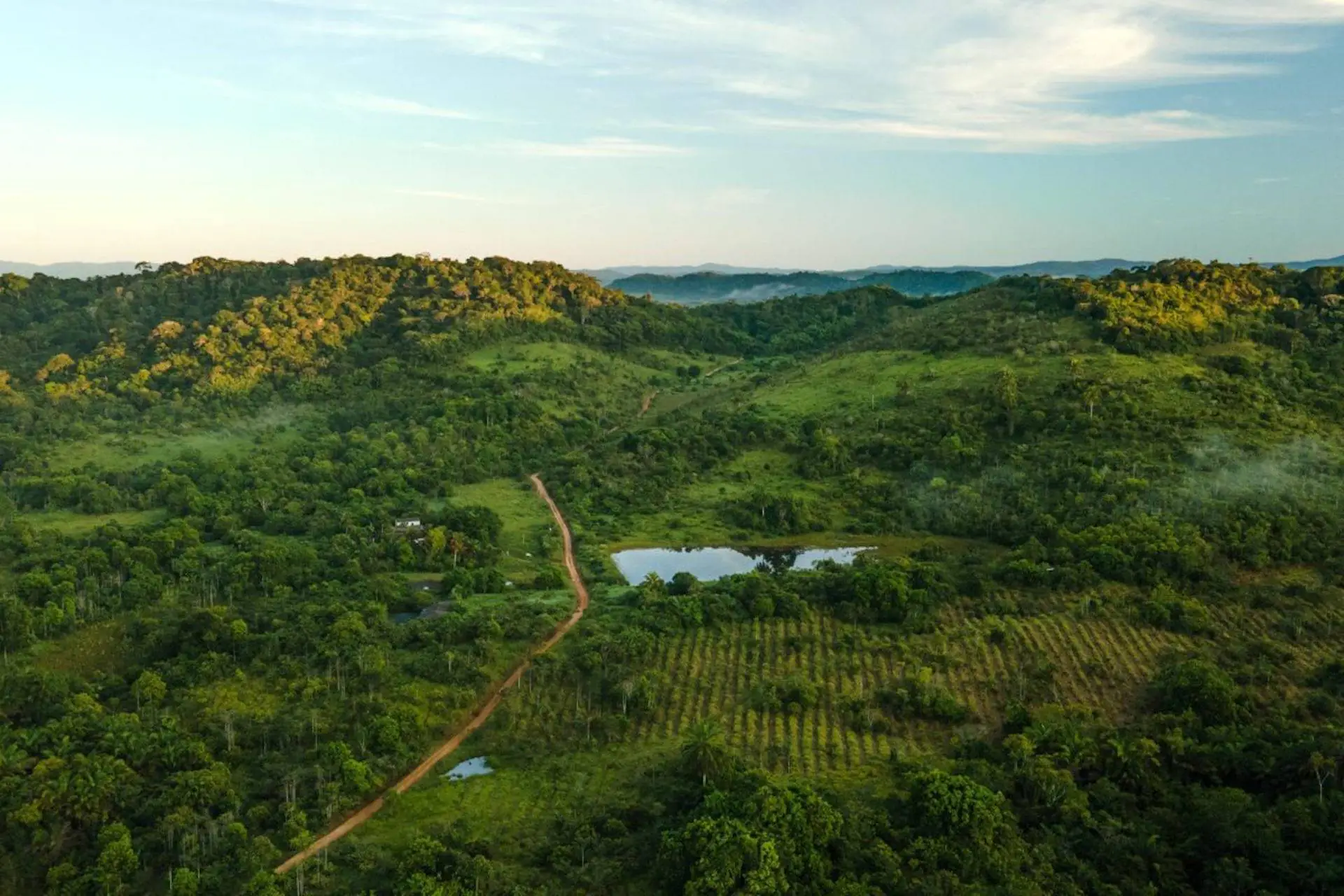 Restauração de paisagens: estratégia inadiável para o desenvolvimento sustentável nacional