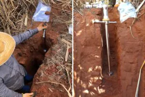 Brasil perdeu 1,4 bilhão de toneladas de carbono do solo por conversão de áreas naturais à agricultura