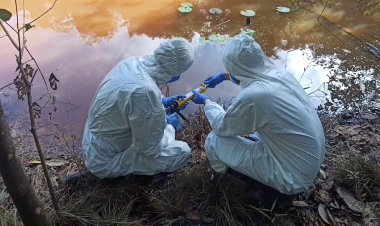 Desregulamentação ambiental, BR-319 e mineração de potássio como iminentes riscos à saúde global