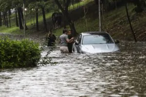 Janeiro de 2026 e os sinais inegáveis do colapso da natureza