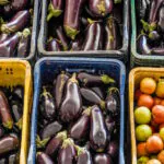 Prioridade para os pequenos agricultores