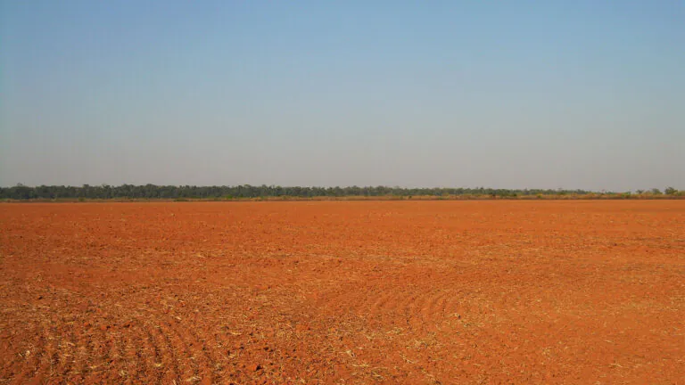 Reviver a moratória da soja