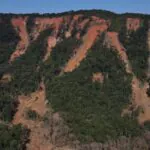Três anos após tragédia, 203 hectares de encostas em São Sebastião seguem em recuperação