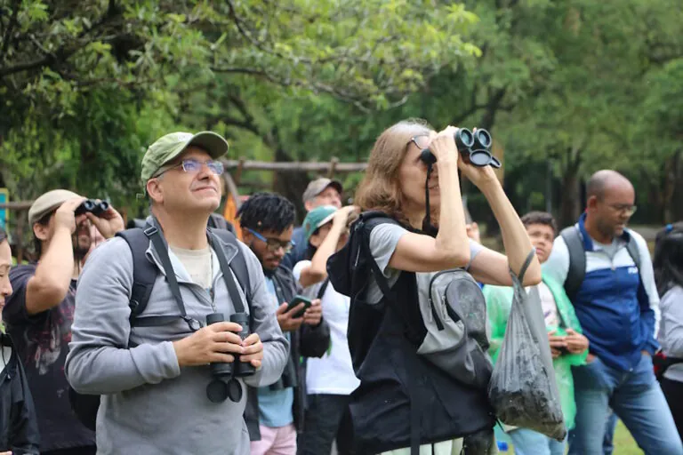 Vem Passarinhar divulga calendário 2026 de saídas mensais para observação de aves