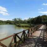 1 Parque Ecológico Municipal de preservação