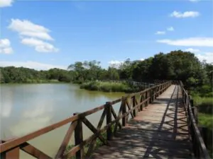 1 Parque Ecológico Municipal de preservação