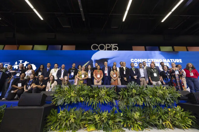 40 espécies migratórias recebem maior proteção na COP15