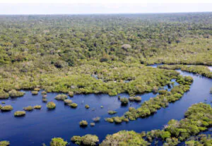 70 cidades amazônicas recebem bases de proteção à floresta