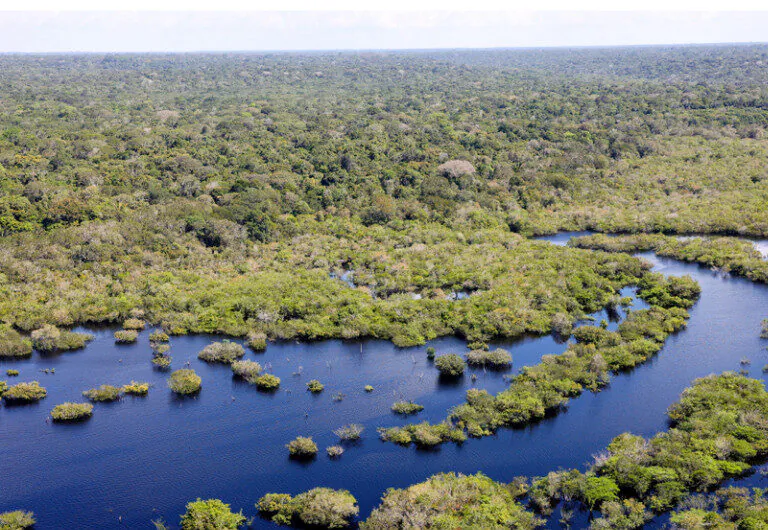 70 cidades amazônicas recebem bases de proteção à floresta