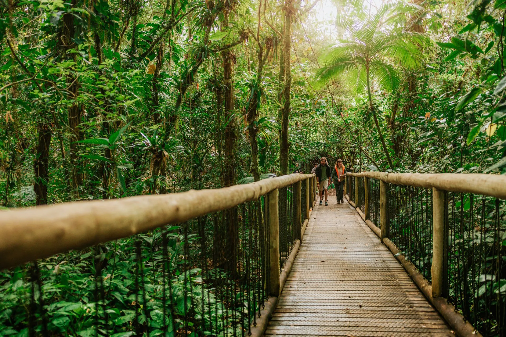 A natureza como estratégia – ((o))eco
